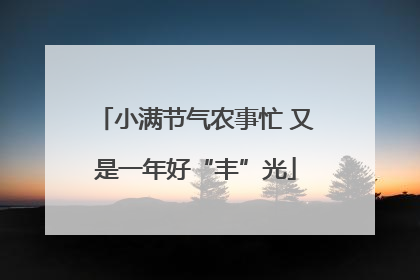 小满节气农事忙 又是一年好“丰”光