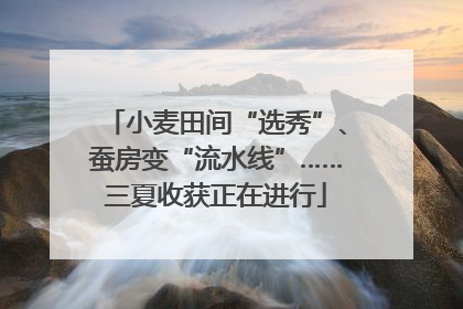 小麦田间“选秀”、蚕房变“流水线”……三夏收获正在进行