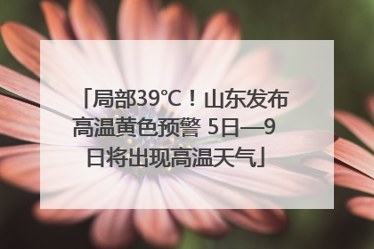 局部39℃！山东发布高温黄色预警 5日—9日将出现高温天气