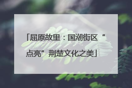 屈原故里：国潮街区“点亮”荆楚文化之美