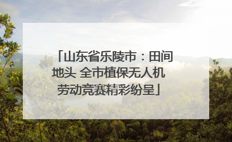 山东省乐陵市：田间地头 全市植保无人机劳动竞赛精彩纷呈