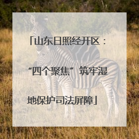 山东日照经开区：“四个聚焦”筑牢湿地保护司法屏障