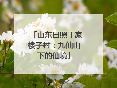 山东日照丁家楼子村：九仙山下的仙境