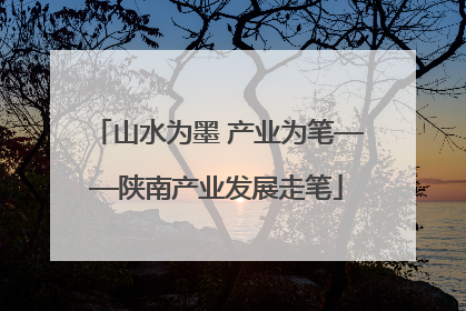 山水为墨 产业为笔——陕南产业发展走笔