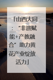 山西大同：“非遗赋能+产教融合”助力黄花产业绽放活力