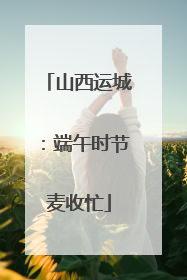 山西运城：端午时节麦收忙
