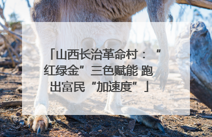 山西长治革命村：“红绿金”三色赋能 跑出富民“加速度”