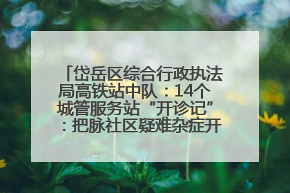 岱岳区综合行政执法局高铁站中队：14个城管服务站“开诊记”：把脉社区疑难杂症开出治理良方