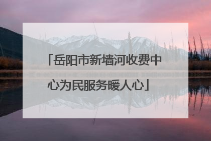 岳阳市新墙河收费中心为民服务暖人心