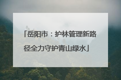 岳阳市：护林管理新路径全力守护青山绿水