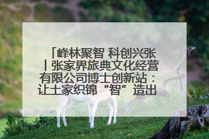 峰林聚智 科创兴张丨张家界旅典文化经营有限公司博士创新站：让土家织锦“智”造出非遗新传奇
