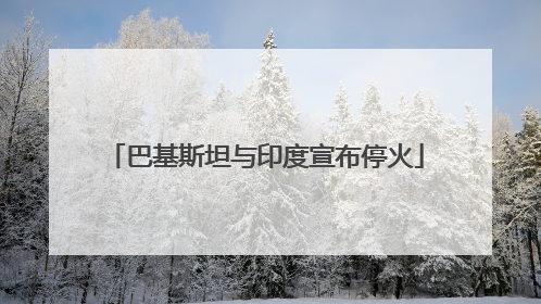 巴基斯坦与印度宣布停火