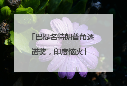 巴提名特朗普角逐诺奖，印度恼火