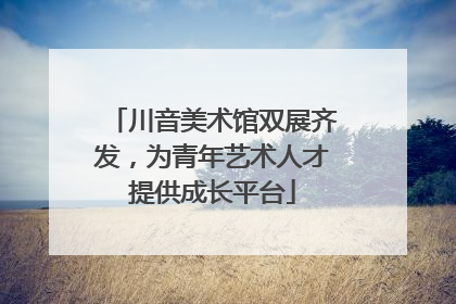 川音美术馆双展齐发，为青年艺术人才提供成长平台