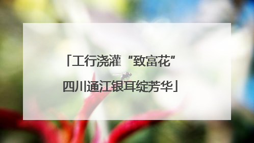 工行浇灌“致富花” 四川通江银耳绽芳华