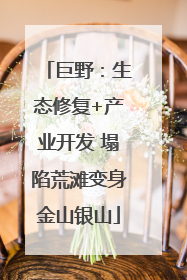 巨野：生态修复+产业开发 塌陷荒滩变身金山银山