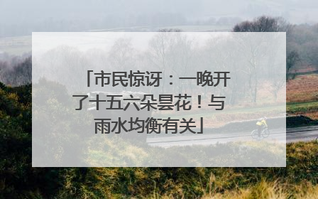 市民惊讶：一晚开了十五六朵昙花！与雨水均衡有关