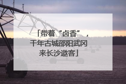带着“卤香”，千年古城邵阳武冈来长沙邀客