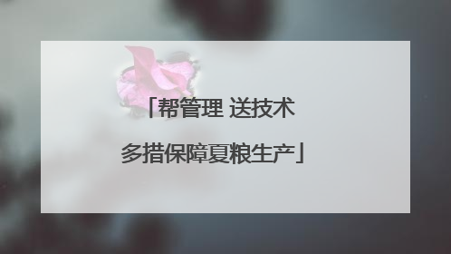 帮管理 送技术 多措保障夏粮生产