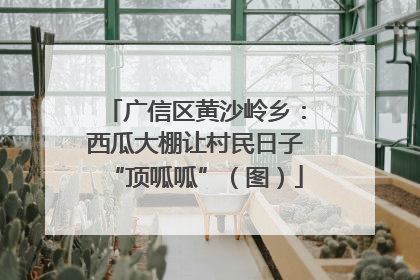 广信区黄沙岭乡：西瓜大棚让村民日子“顶呱呱”（图）