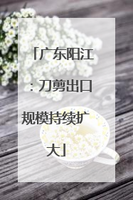 广东阳江：刀剪出口规模持续扩大