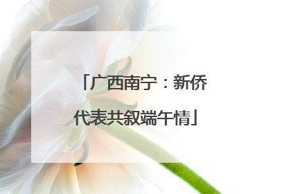 广西南宁：新侨代表共叙端午情