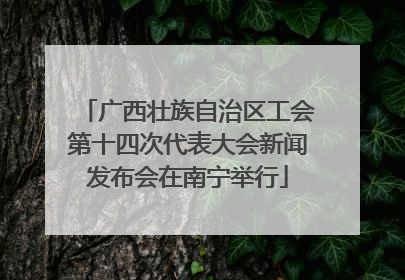 广西壮族自治区工会第十四次代表大会新闻发布会在南宁举行