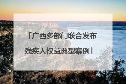 广西多部门联合发布残疾人权益典型案例