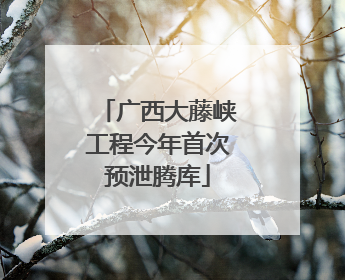广西大藤峡工程今年首次预泄腾库