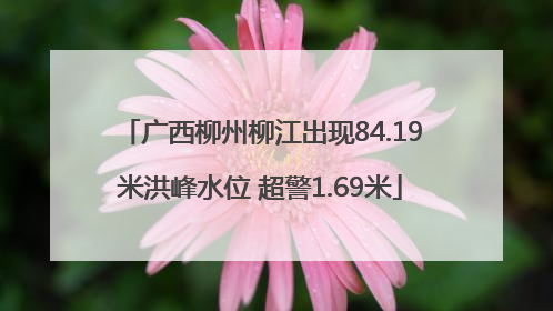 广西柳州柳江出现84.19米洪峰水位 超警1.69米