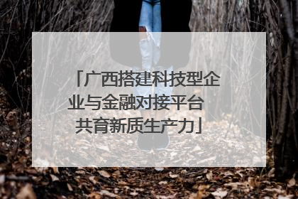 广西搭建科技型企业与金融对接平台 共育新质生产力