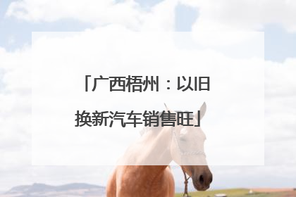 广西梧州：以旧换新汽车销售旺