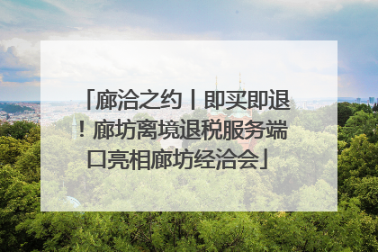 廊洽之约丨即买即退！廊坊离境退税服务端口亮相廊坊经洽会