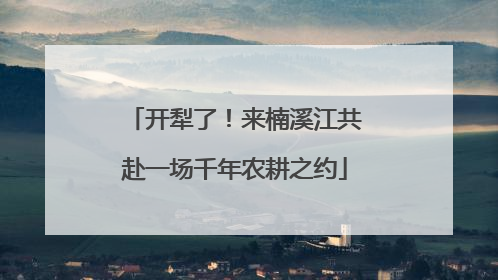 开犁了！来楠溪江共赴一场千年农耕之约