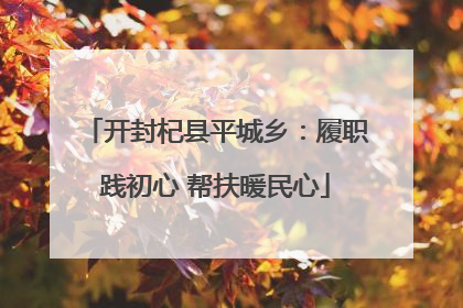 开封杞县平城乡：履职践初心 帮扶暖民心