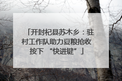 开封杞县苏木乡：驻村工作队助力夏粮抢收按下 “快进键”