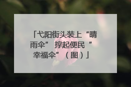 弋阳街头装上“晴雨伞” 撑起便民“幸福伞”（图）