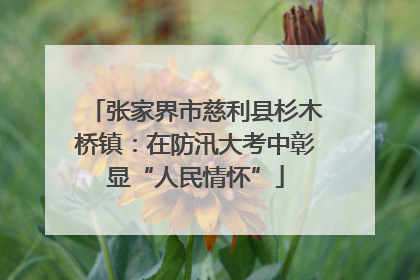 张家界市慈利县杉木桥镇：在防汛大考中彰显“人民情怀”