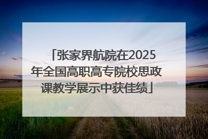 张家界航院在2025年全国高职高专院校思政课教学展示中获佳绩