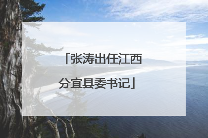 张涛出任江西分宜县委书记