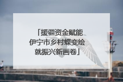 援疆资金赋能 伊宁市乡村蝶变绘就振兴新画卷