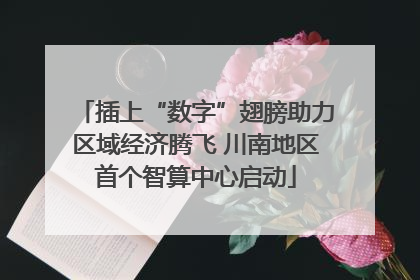 插上“数字”翅膀助力区域经济腾飞 川南地区首个智算中心启动