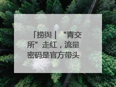 捞舆｜“青交所”走红，流量密码是官方带头“玩起来”