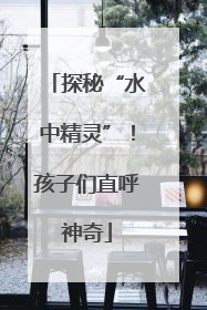 探秘“水中精灵”！孩子们直呼神奇