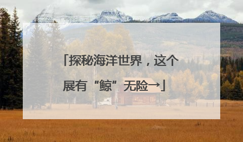 探秘海洋世界，这个展有“鲸”无险→