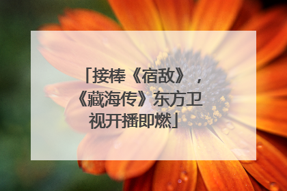 接棒《宿敌》，《藏海传》东方卫视开播即燃