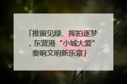 推窗见绿、挥拍逐梦，东营港“小城大爱”奏响文明新乐章