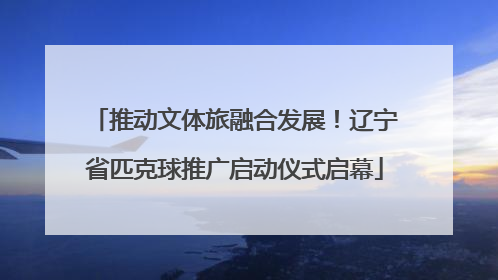推动文体旅融合发展！辽宁省匹克球推广启动仪式启幕