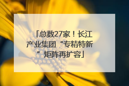 总数27家！长江产业集团“专精特新”矩阵再扩容