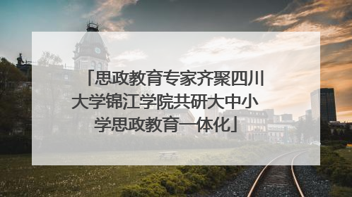 思政教育专家齐聚四川大学锦江学院共研大中小学思政教育一体化